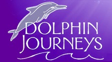 "Dolphin Journeys"