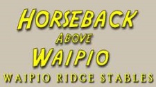 "Waipio Ridge Stables"