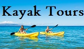 Kayak tours and rentals