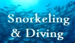 Scuba diving and Snorkeling