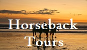 Horseback Tours